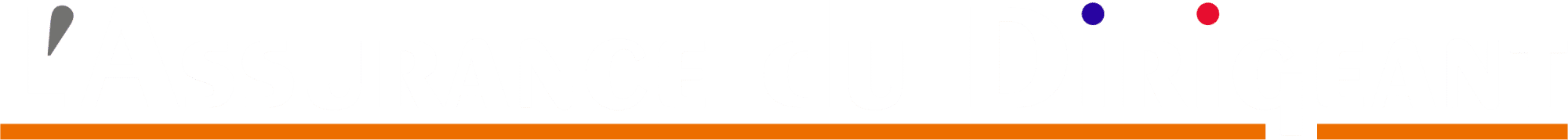 Assurance du Dirigeant